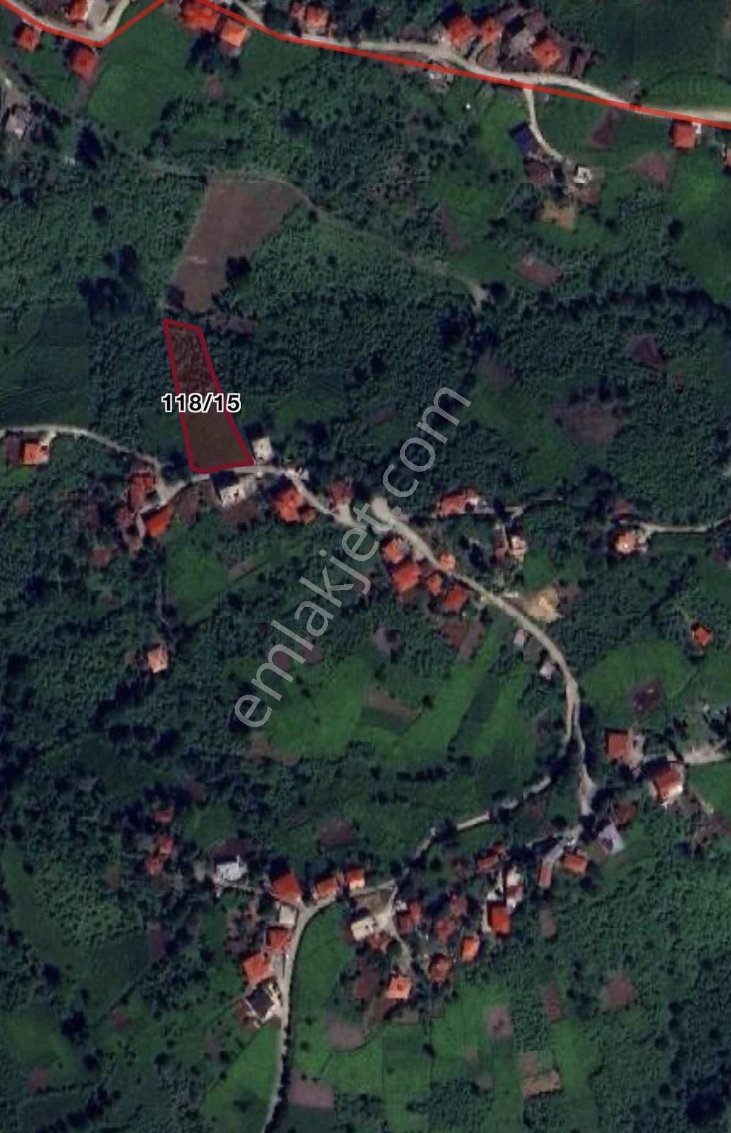 Özgür Emlaktan Deniz Manzaralı Çay Ve Fındıklık - Görsel 11