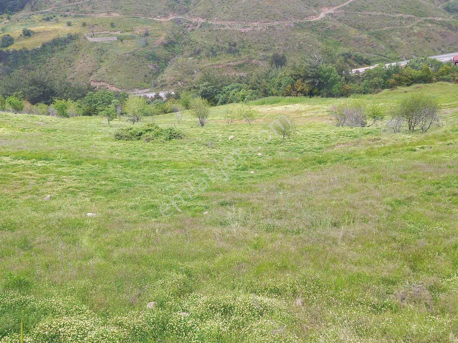 İzmir Bornova Beşyolda Satılık Asfalt Cepheli Tarla - Görsel 10