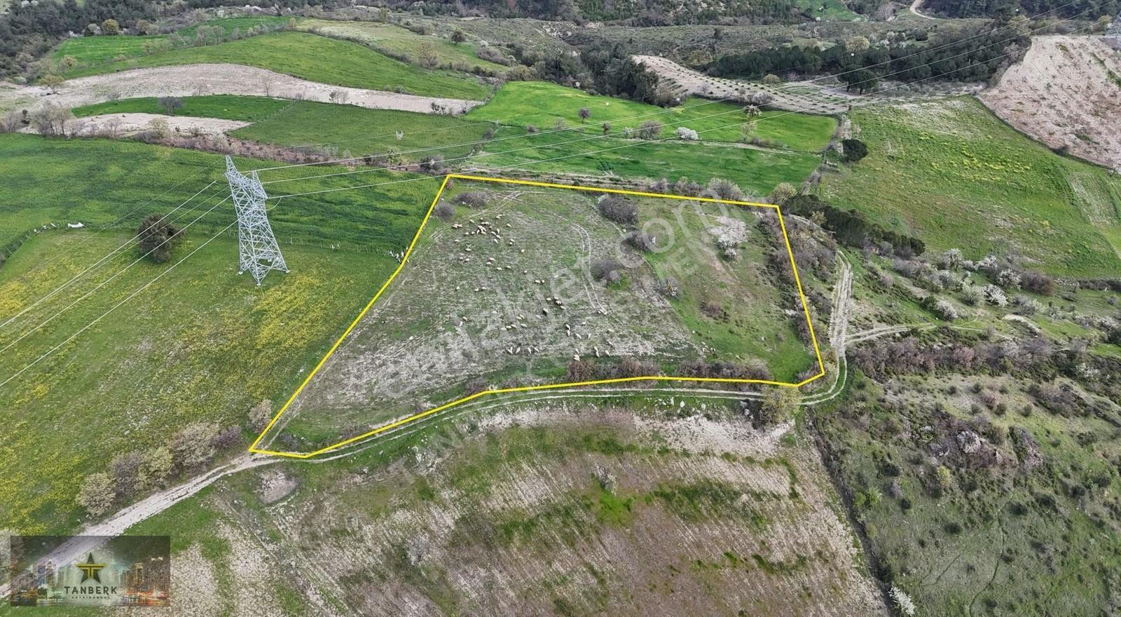 Tanberk Den Satılık Tarla Mustaklar Da 6.015 M2 - Görsel 14