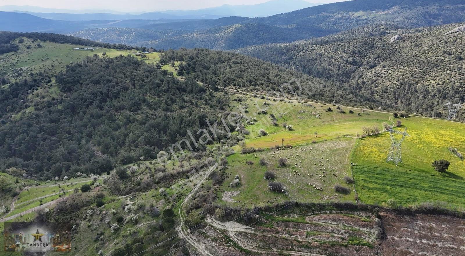 Tanberk Den Satılık Tarla Mustaklar Da 6.015 M2 - Görsel 13