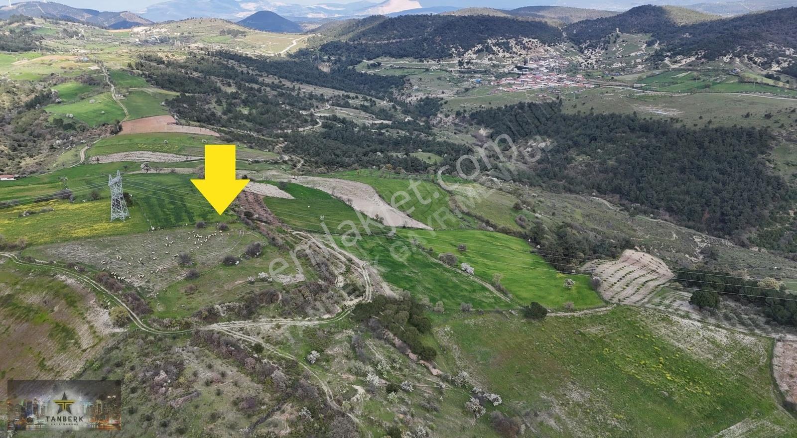 Tanberk Den Satılık Tarla Mustaklar Da 6.015 M2 - Görsel 10