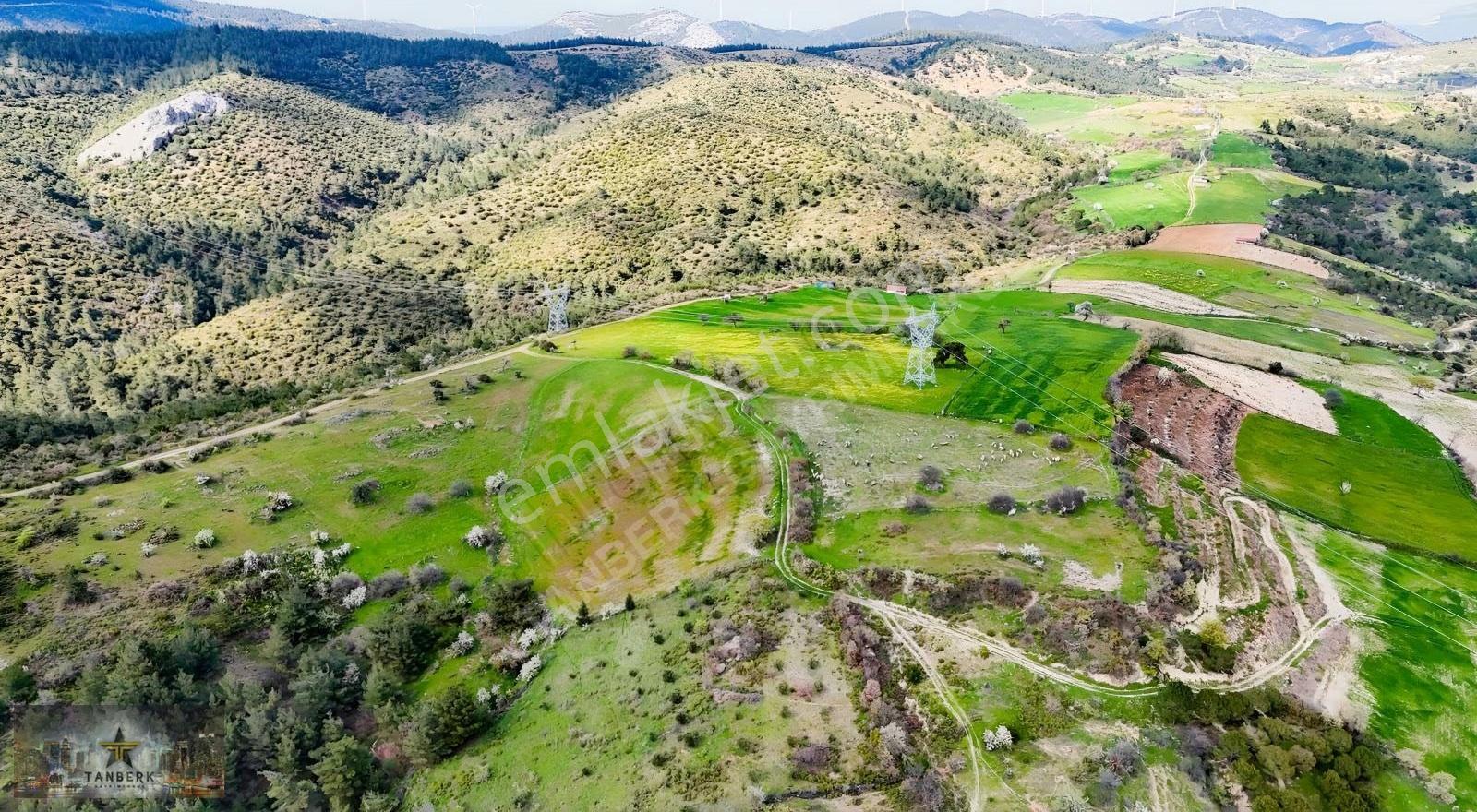 Tanberk Den Satılık Tarla Mustaklar Da 6.015 M2 - Görsel 3