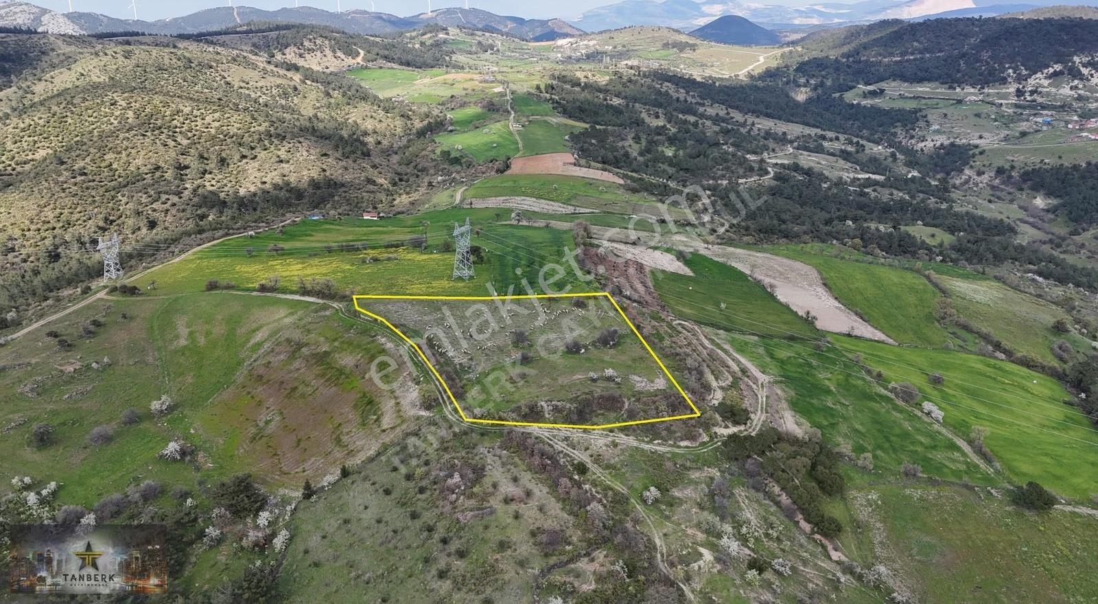 Tanberk Den Satılık Tarla Mustaklar Da 6.015 M2 - Görsel 11
