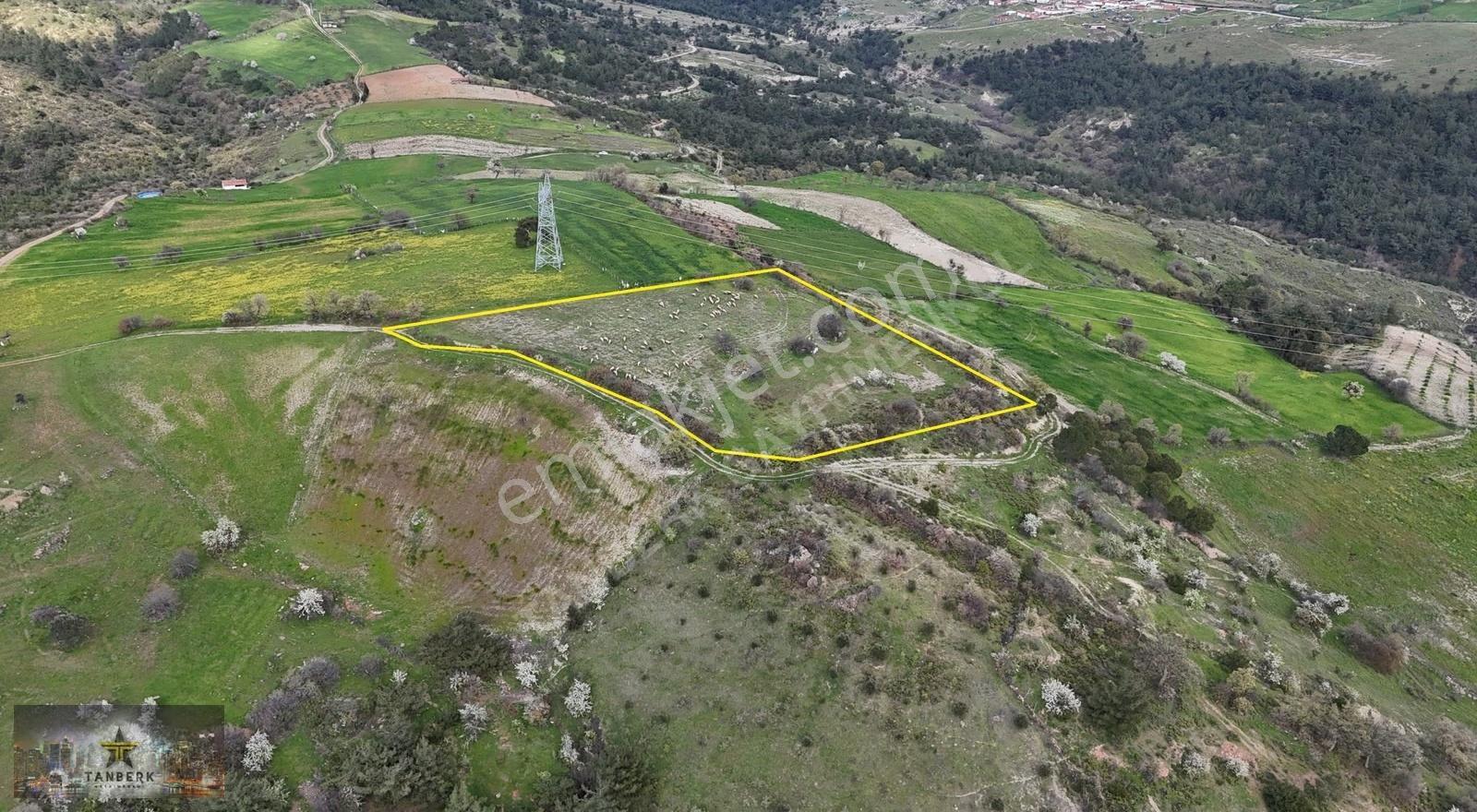 Tanberk Den Satılık Tarla Mustaklar Da 6.015 M2 - Görsel 12