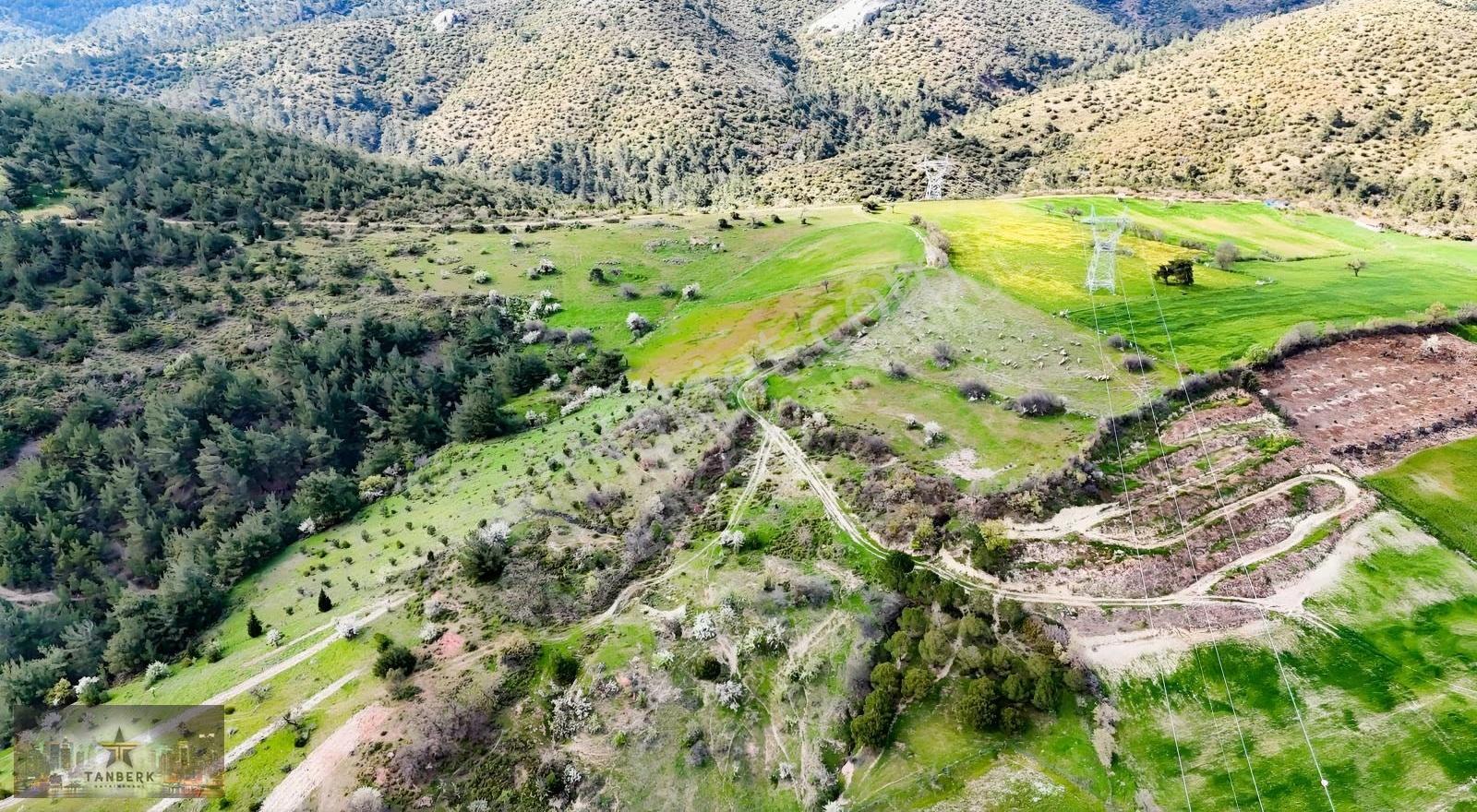 Tanberk Den Satılık Tarla Mustaklar Da 6.015 M2 - Görsel 5