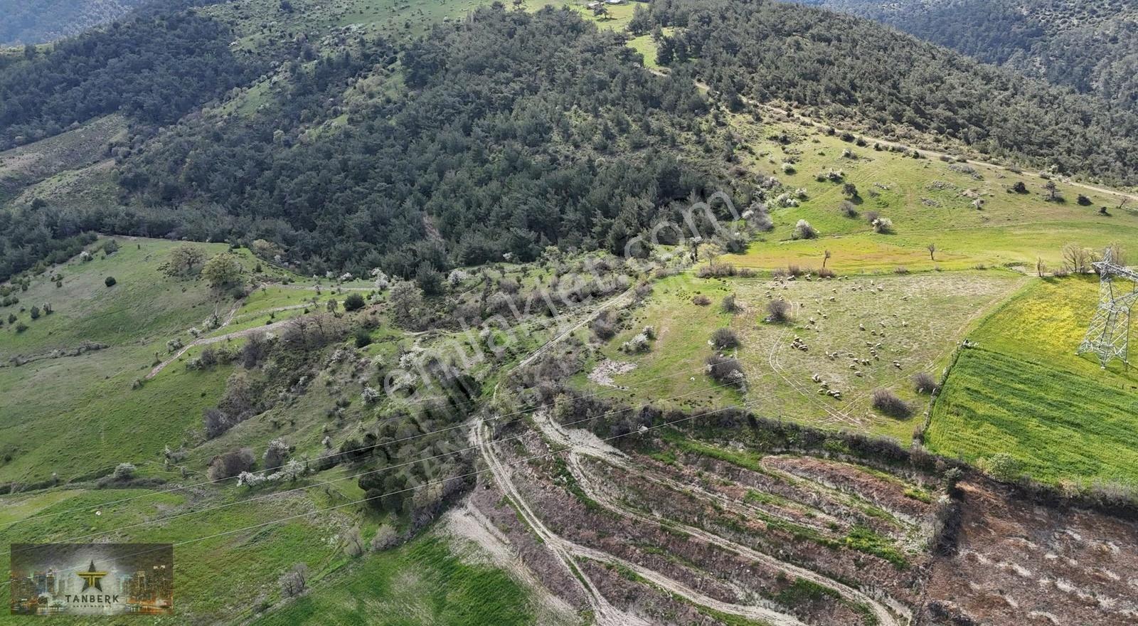 Tanberk Den Satılık Tarla Mustaklar Da 6.015 M2 - Görsel 4