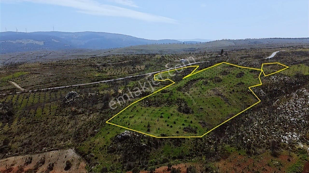 İzmir Kınık Karatekeli Mahallesinde Satılık Zeytinlik - Görsel 9