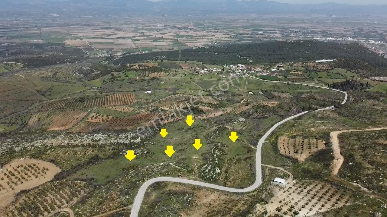 İzmir Kınık Karatekeli Mahallesinde Satılık Zeytinlik - Görsel 7