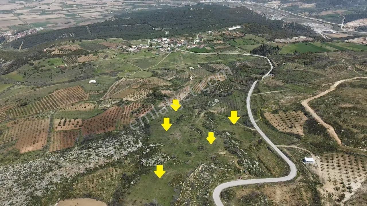 İzmir Kınık Karatekeli Mahallesinde Satılık Zeytinlik