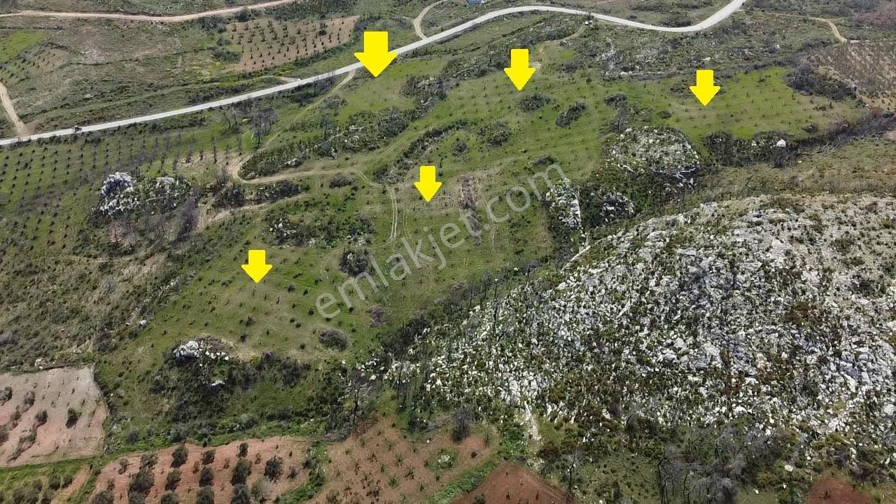İzmir Kınık Karatekeli Mahallesinde Satılık Zeytinlik - Görsel 2