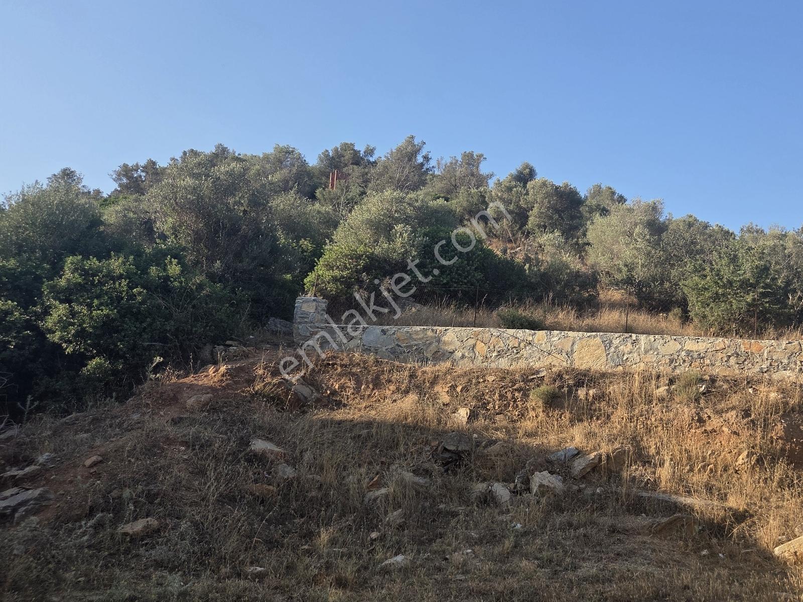 Milas Boğaziçinde Emsalsiz Konumda Satılık Arsa-yatırımlık - Görsel 21