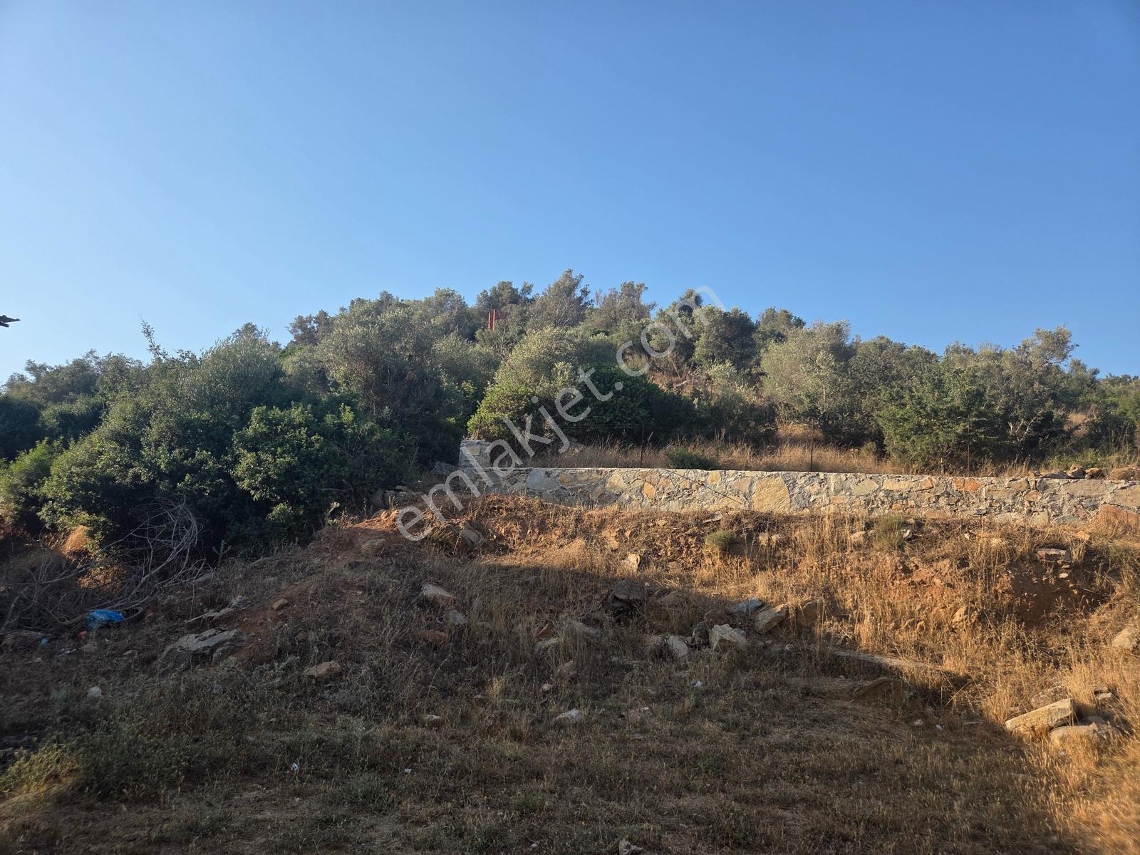 Milas Boğaziçinde Emsalsiz Konumda Satılık Arsa-yatırımlık - Görsel 6