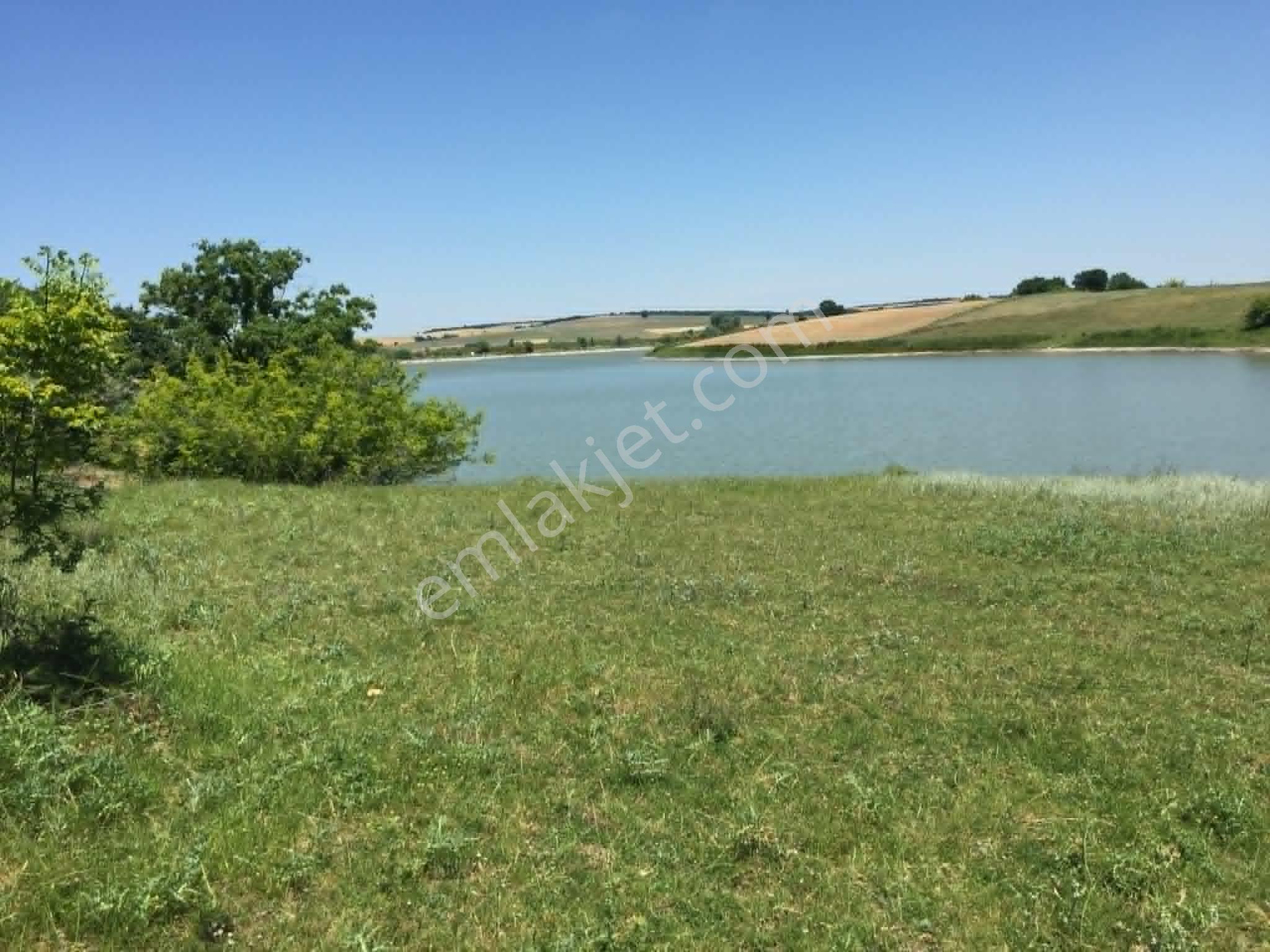 Edirne Meriçte Satılık Tarla Göl Kenarı Çiftlik Yeri 2350 M2 - Görsel 6