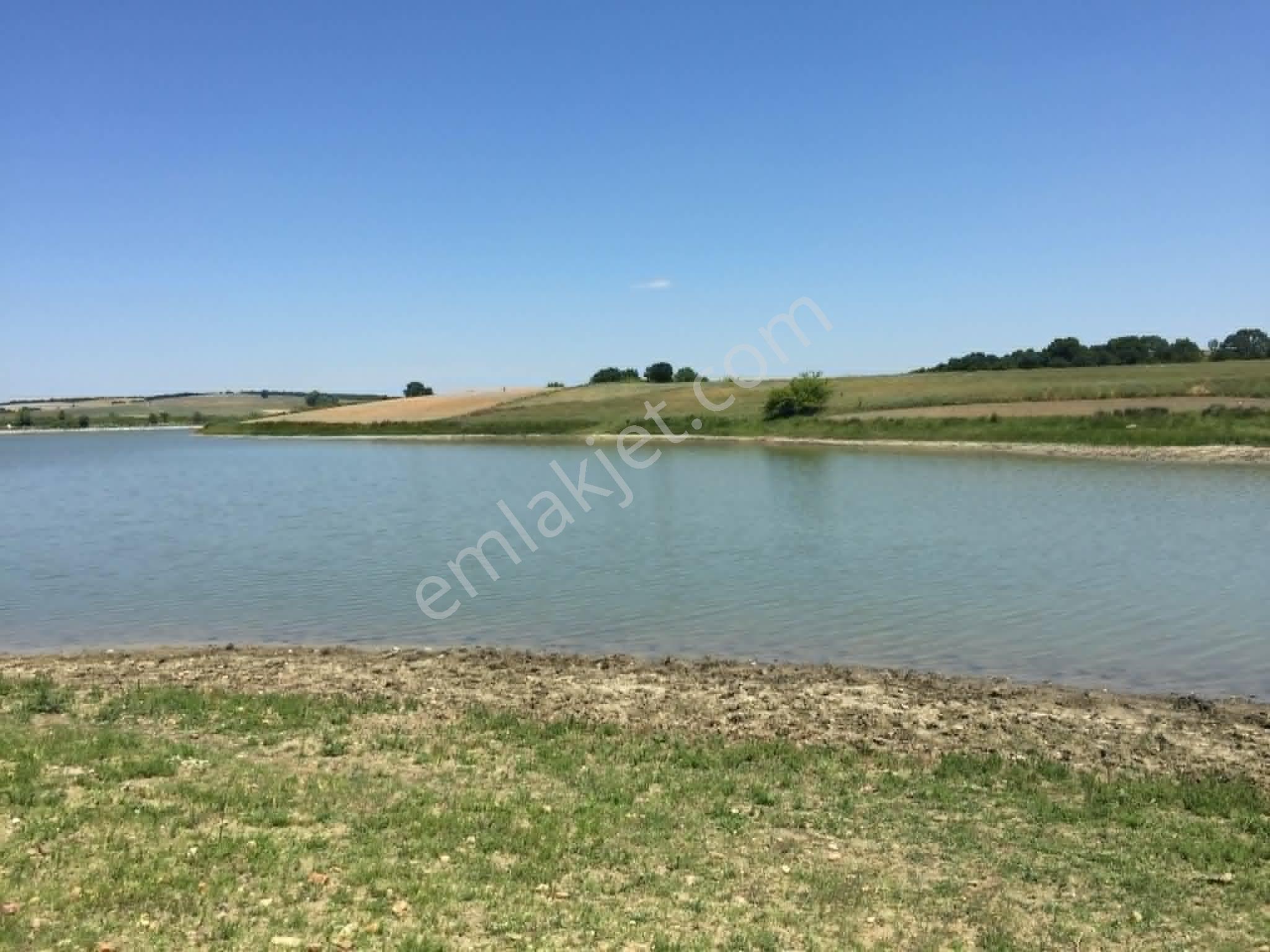 Edirne Meriçte Satılık Tarla Göl Kenarı Çiftlik Yeri 2350 M2 - Görsel 4