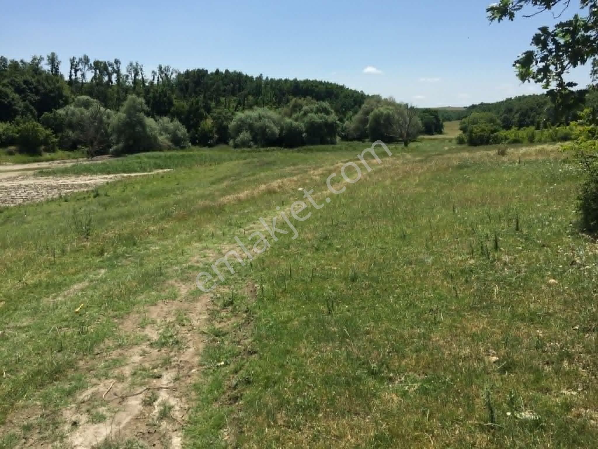 Edirne Meriçte Satılık Tarla Göl Kenarı Çiftlik Yeri 2350 M2 - Görsel 10