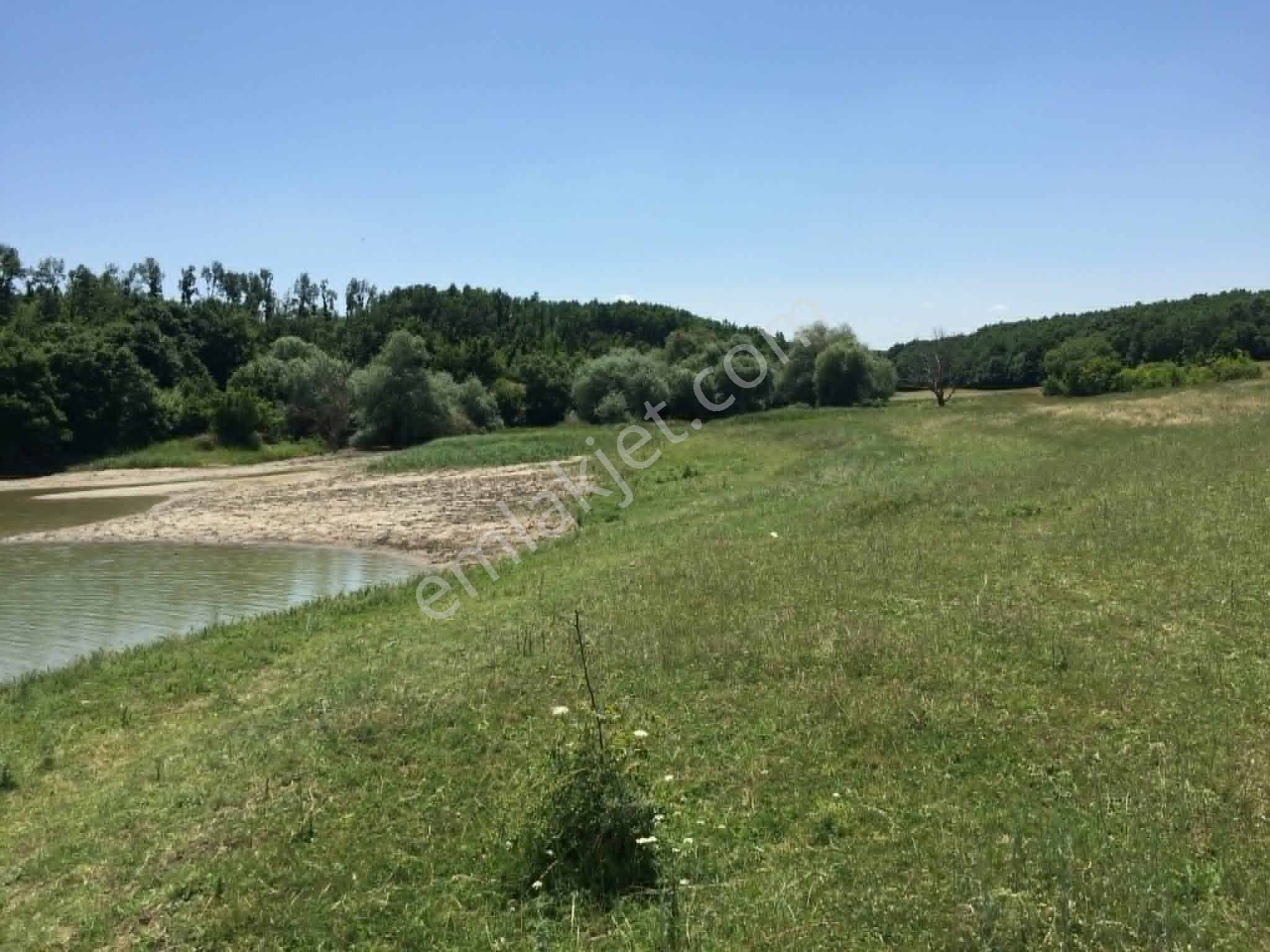 Edirne Meriçte Satılık Tarla Göl Kenarı Çiftlik Yeri 2350 M2 - Görsel 8