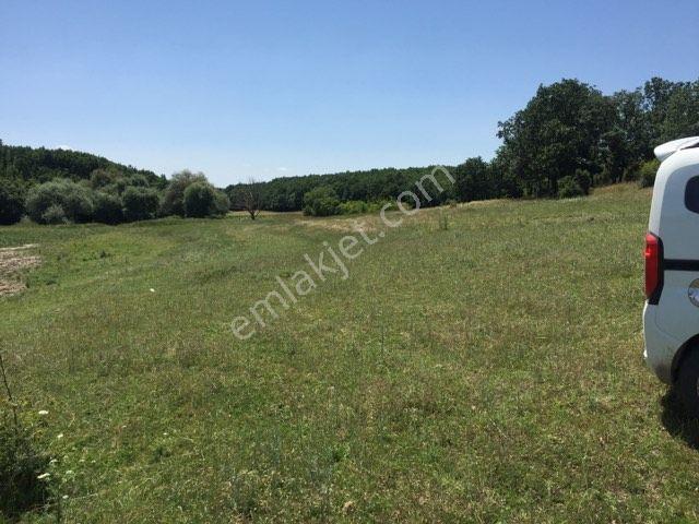 Edirne Meriçte Satılık Tarla Göl Kenarı Çiftlik Yeri 2350 M2 - Görsel 2