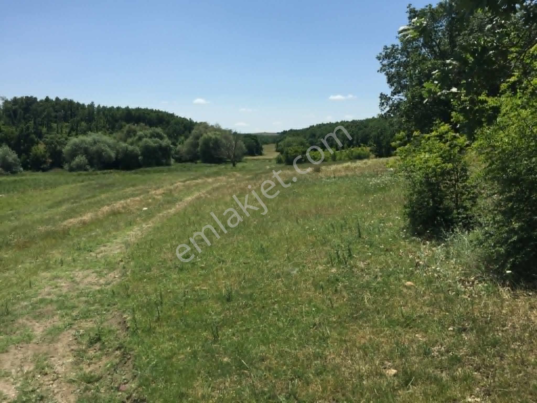 Edirne Meriçte Satılık Tarla Göl Kenarı Çiftlik Yeri 2350 M2 - Görsel 11
