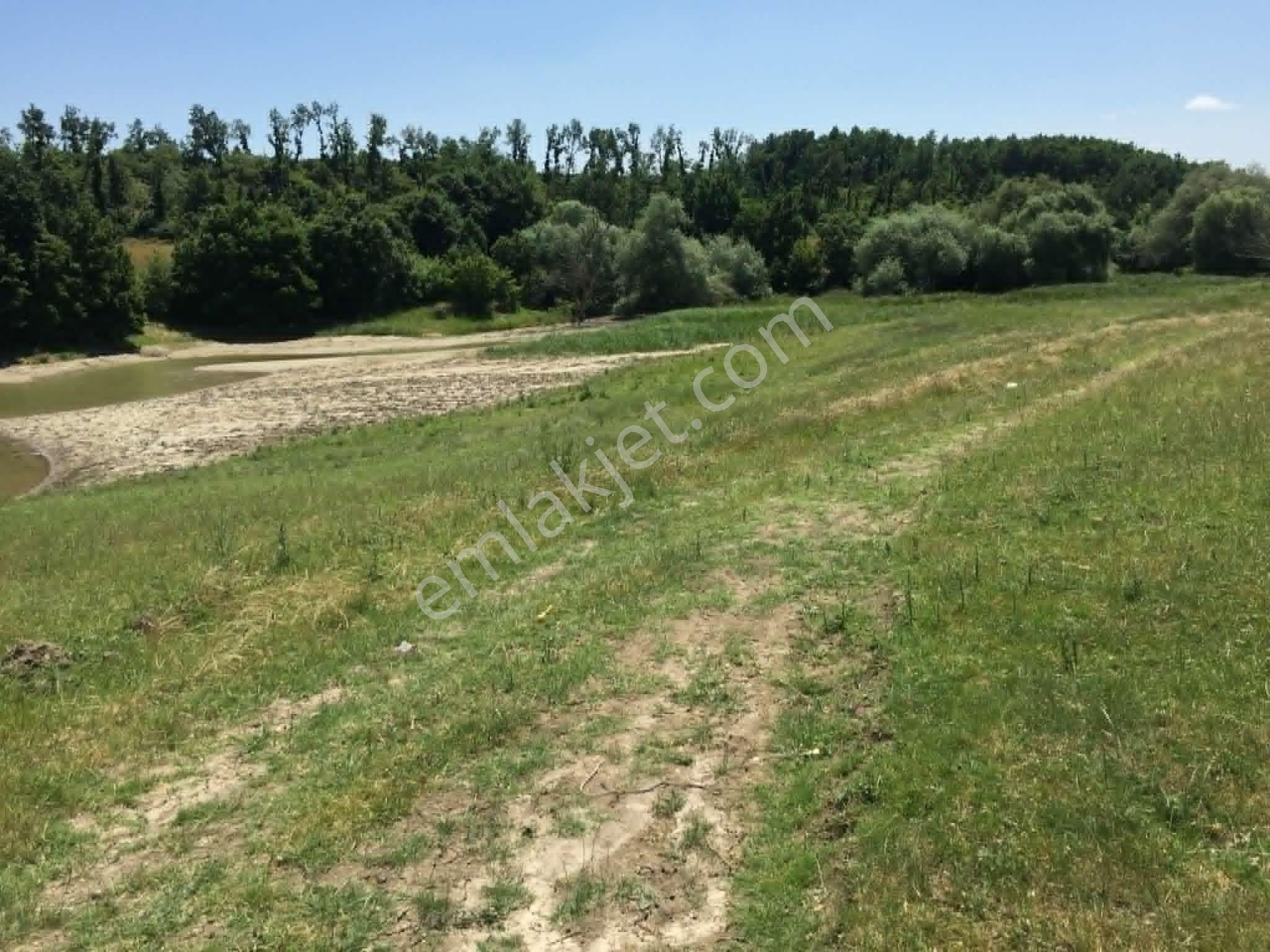 Edirne Meriçte Satılık Tarla Göl Kenarı Çiftlik Yeri 2350 M2 - Görsel 7