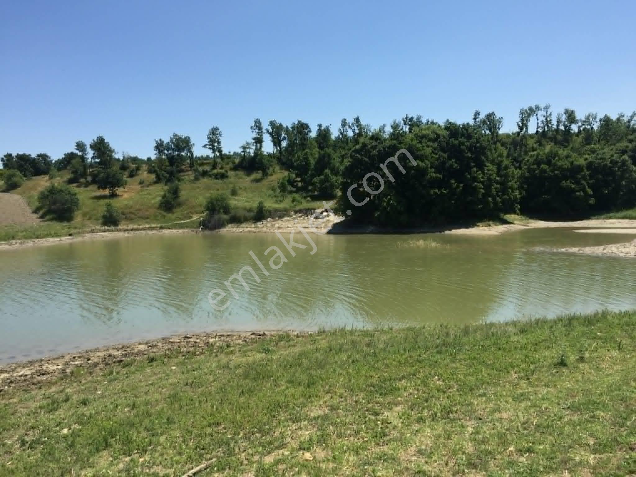 Edirne Meriçte Satılık Tarla Göl Kenarı Çiftlik Yeri 2350 M2 - Görsel 9