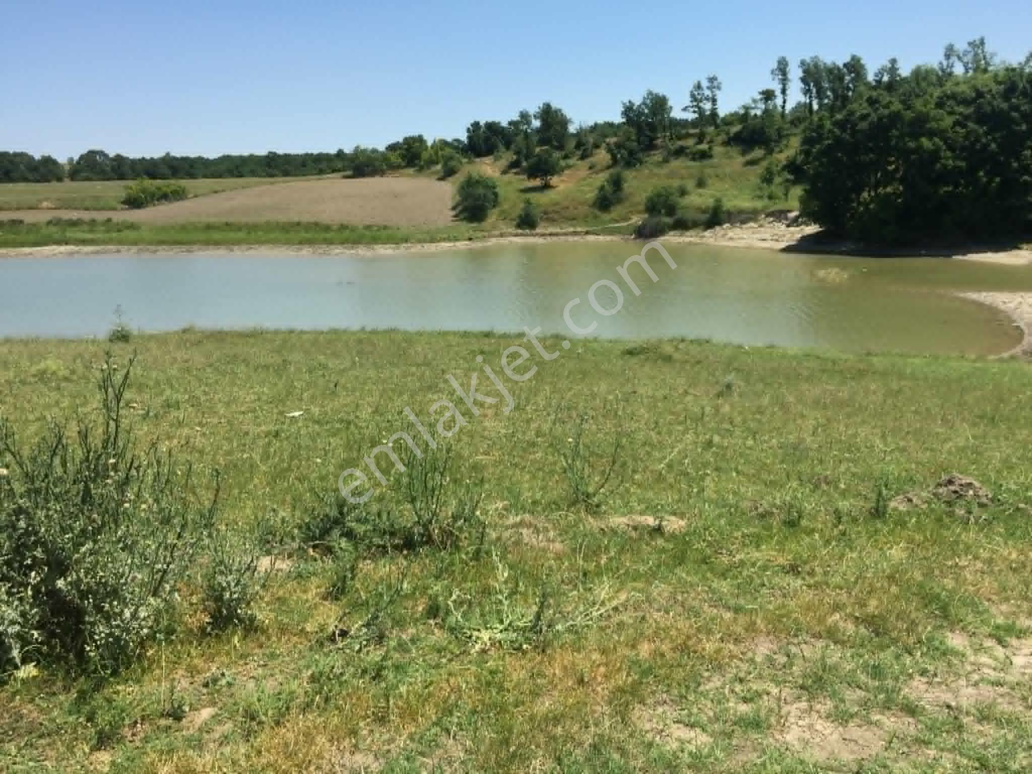 Edirne Meriçte Satılık Tarla Göl Kenarı Çiftlik Yeri 2350 M2 - Görsel 18