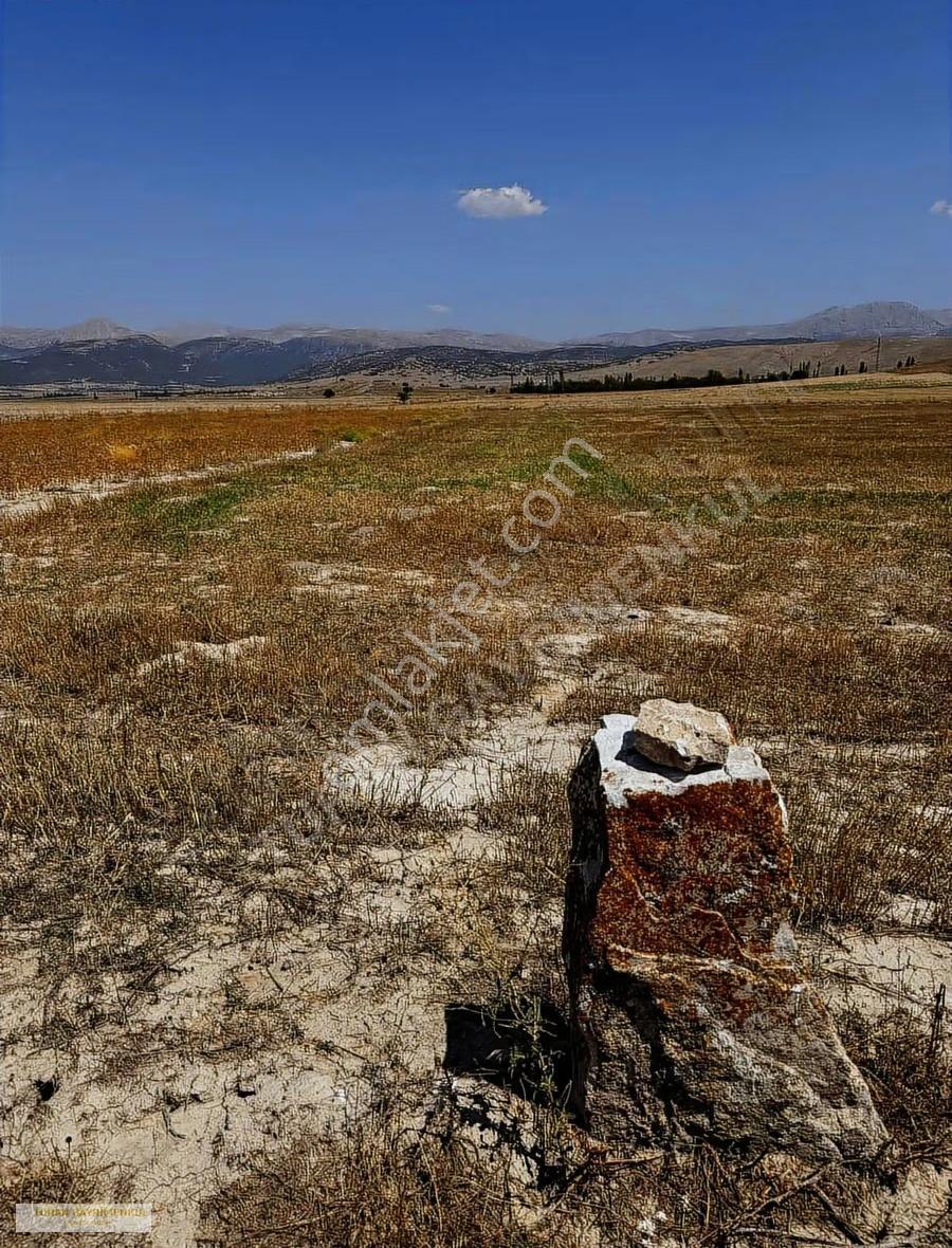 Isparta Kuleönünde 2.473 M² İmar Sınırında Yatırımlık Arazi! - Görsel 6