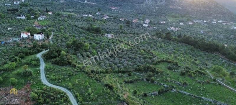 Fethiye Gayrimenkulden Takasa Açık Gökbende 690m2 Tek Tapu Arazi - Görsel 6