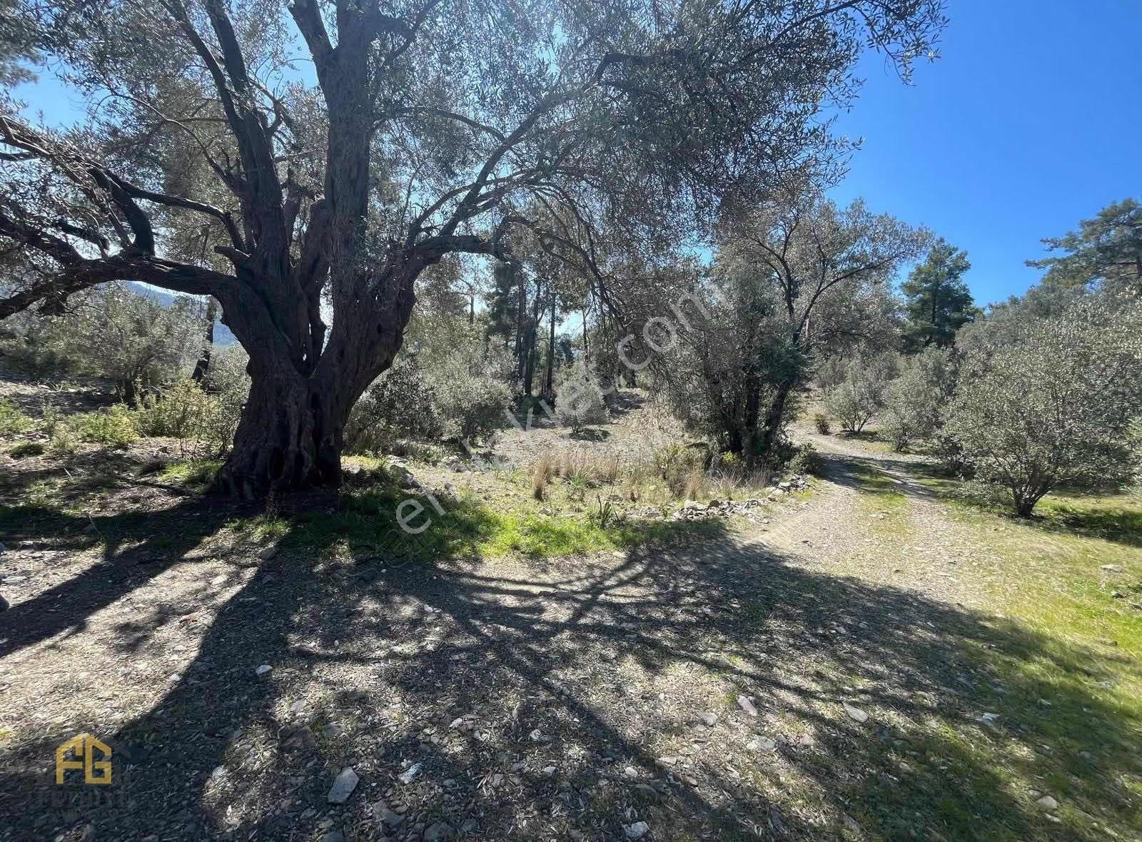 Fethiye Yakacıkda 909m2 Satılık Tarla - Görsel 9
