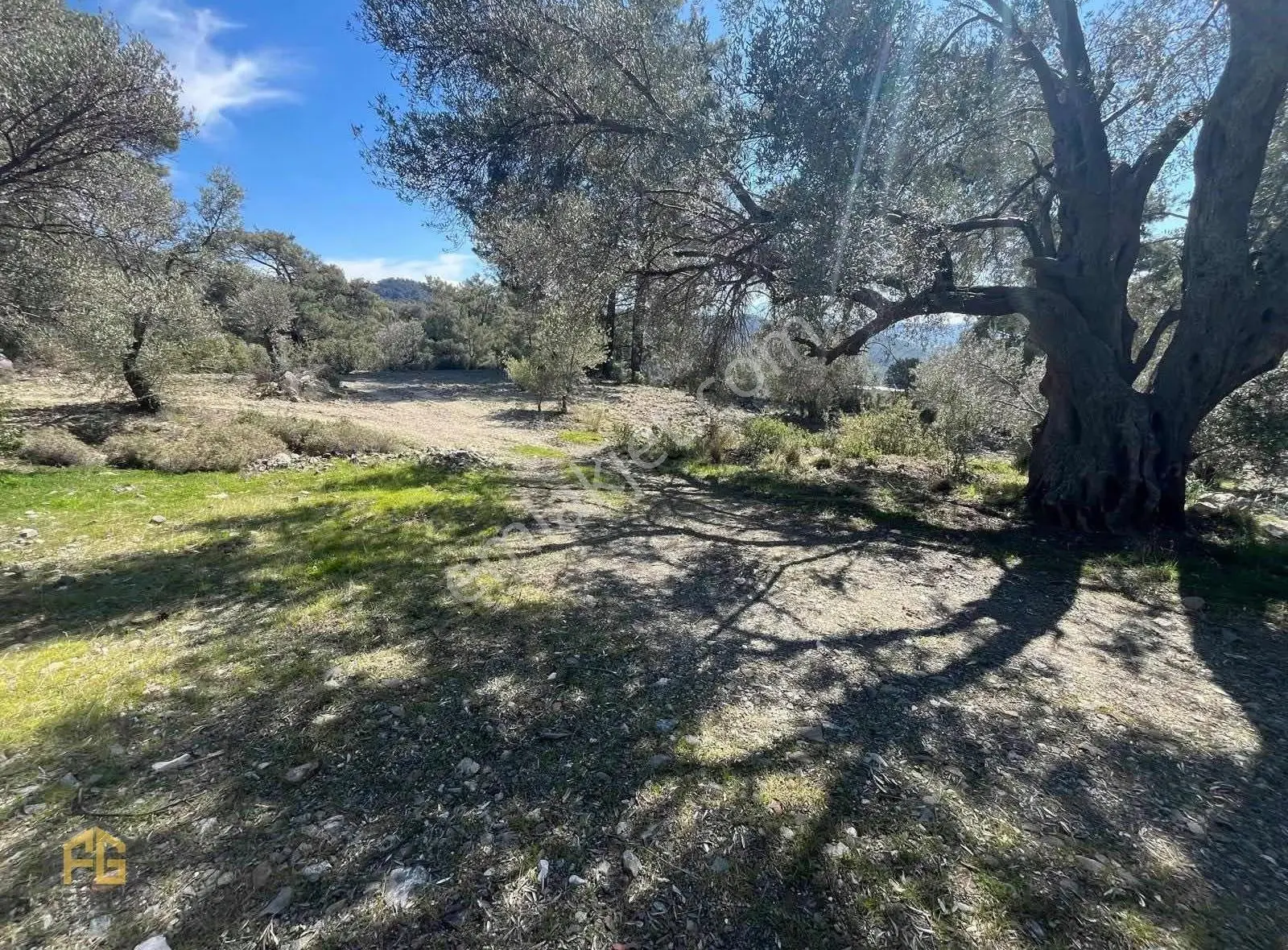 Fethiye Yakacıkda 909m2 Satılık Tarla - Görsel 2