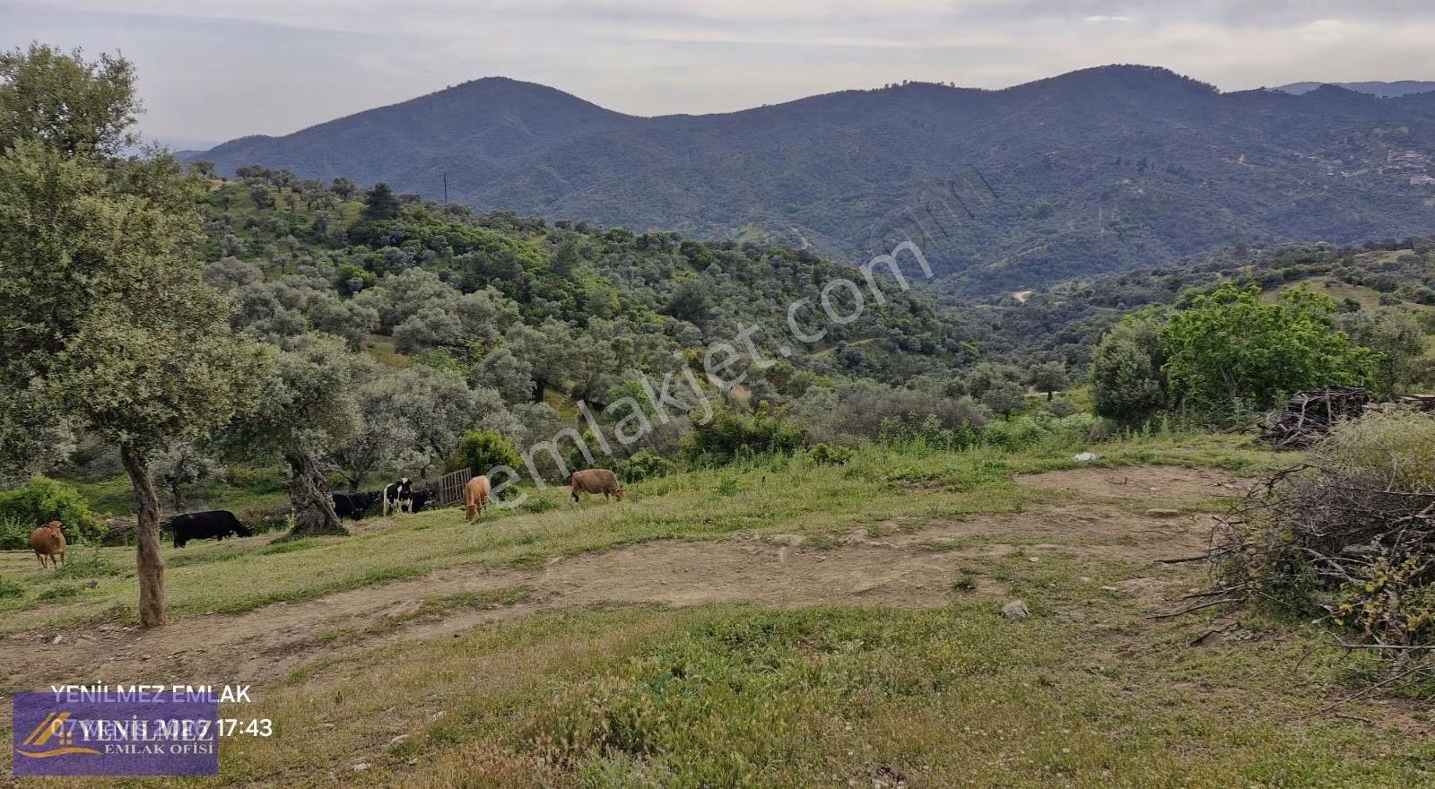 Yerleşim Yeri Bitişiği Satılık Arazi - Görsel 12