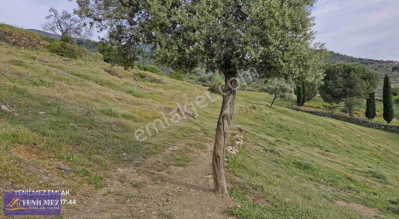 Yerleşim Yeri Bitişiği Satılık Arazi - Görsel 13