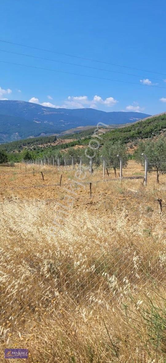 Bayındır Alanköy Yola Sıfır Satılık Arazi - Görsel 2