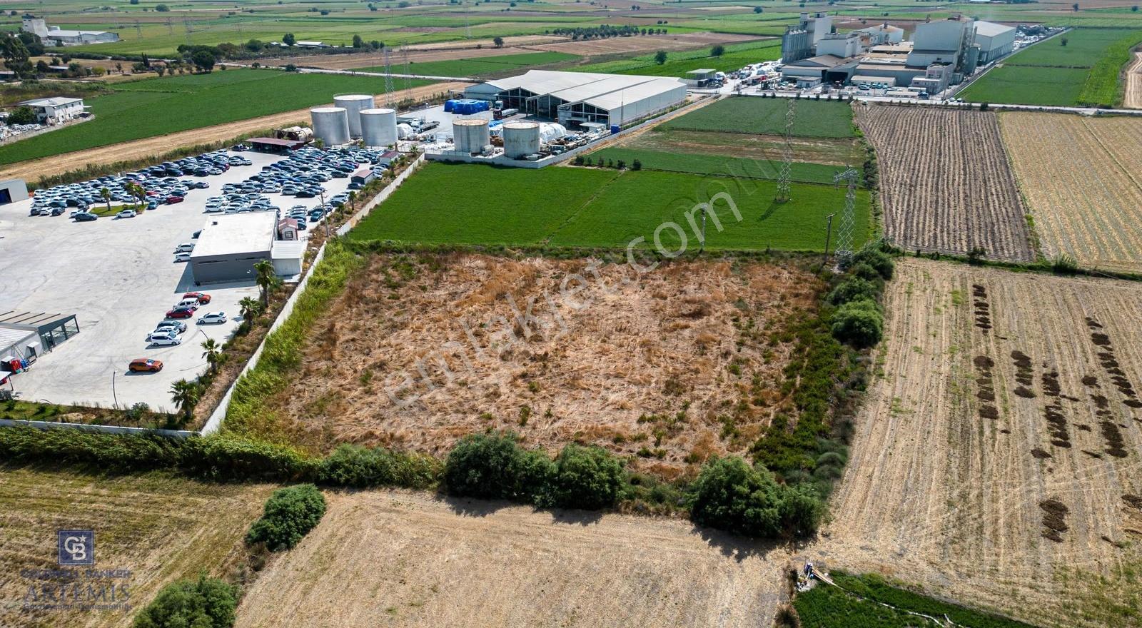 Milas Akyol Satılık Yatırımlık Tarla - Görsel 35