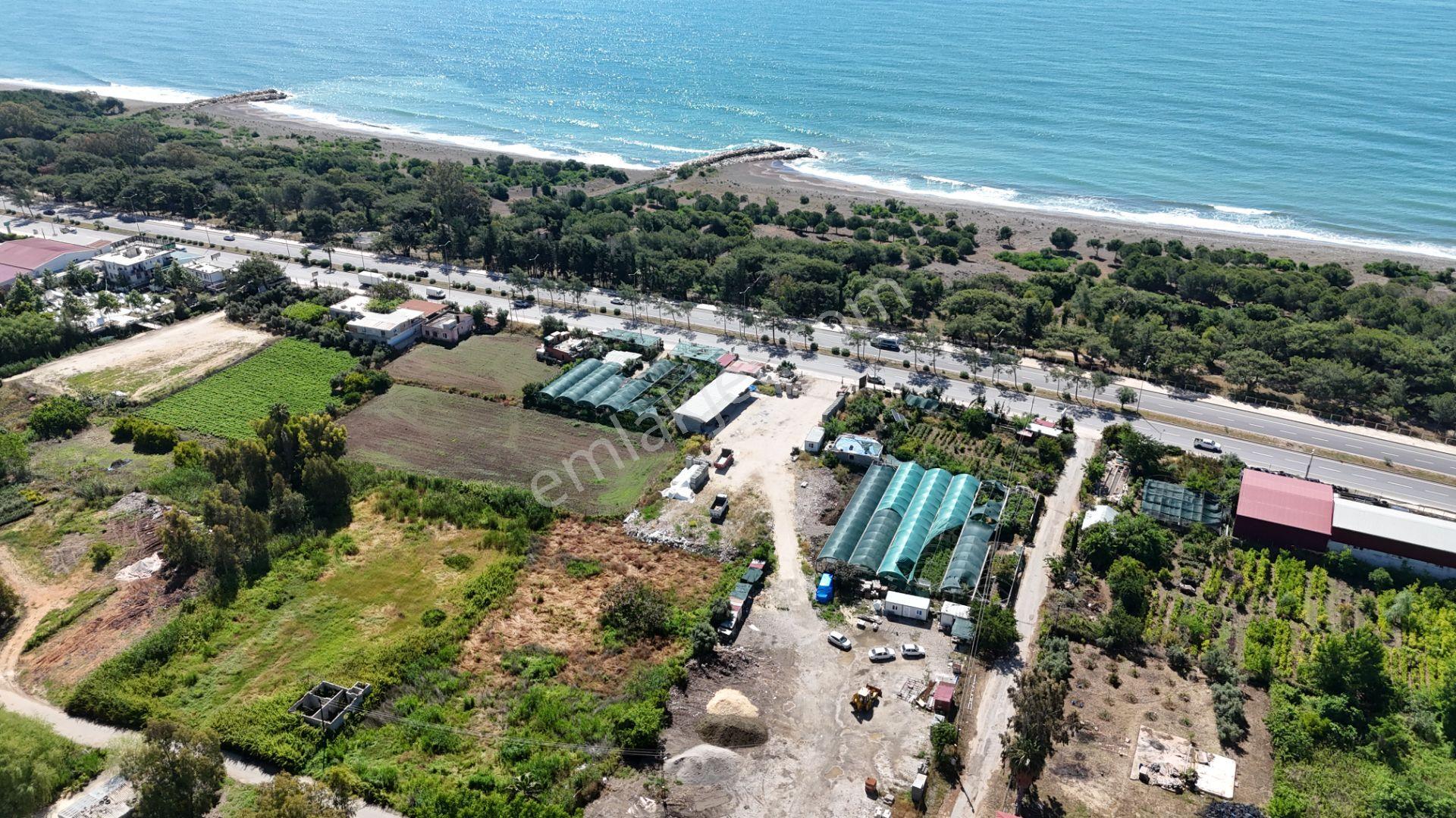 Erdemli D 400 E Sıfır Ticari 2200 M2 Satılık Arsa - Görsel 2