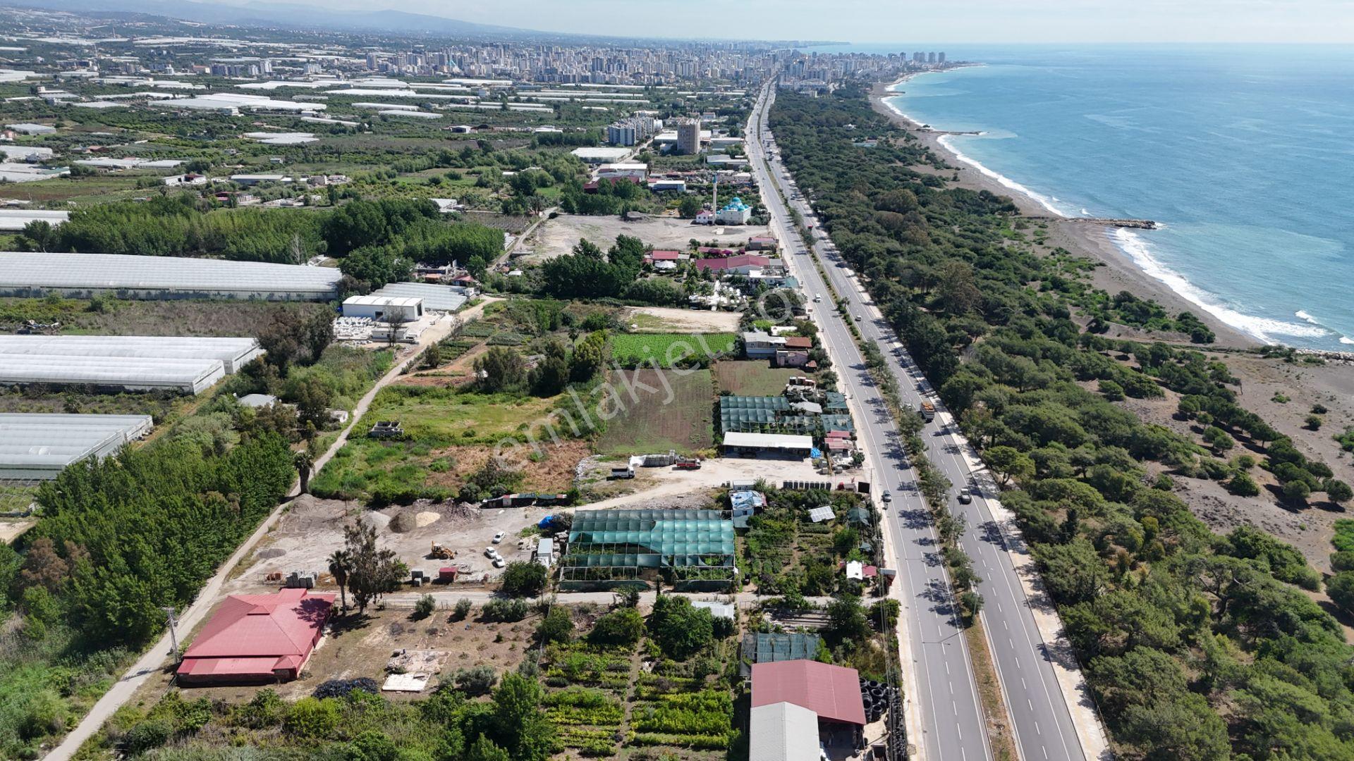 Erdemli D 400 E Sıfır Ticari 2200 M2 Satılık Arsa - Görsel 6
