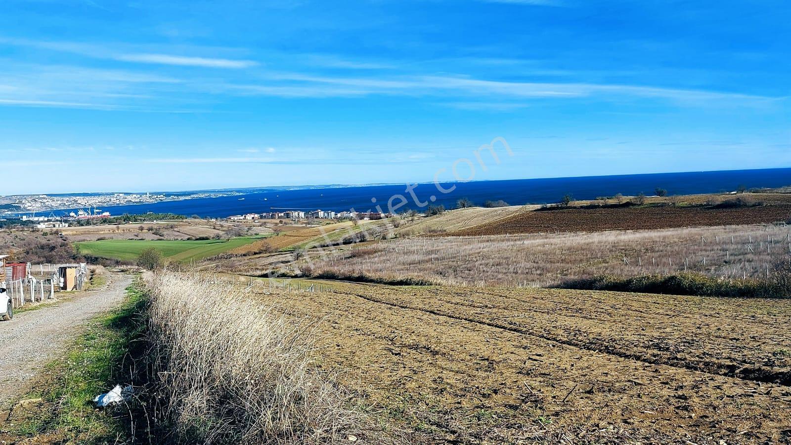 ** Full Deniz Doğa Ve Şehir Manzara** Emsallerine En Uygun Fırsat Kelepir Villa Imarlı Arsa - Görsel 17