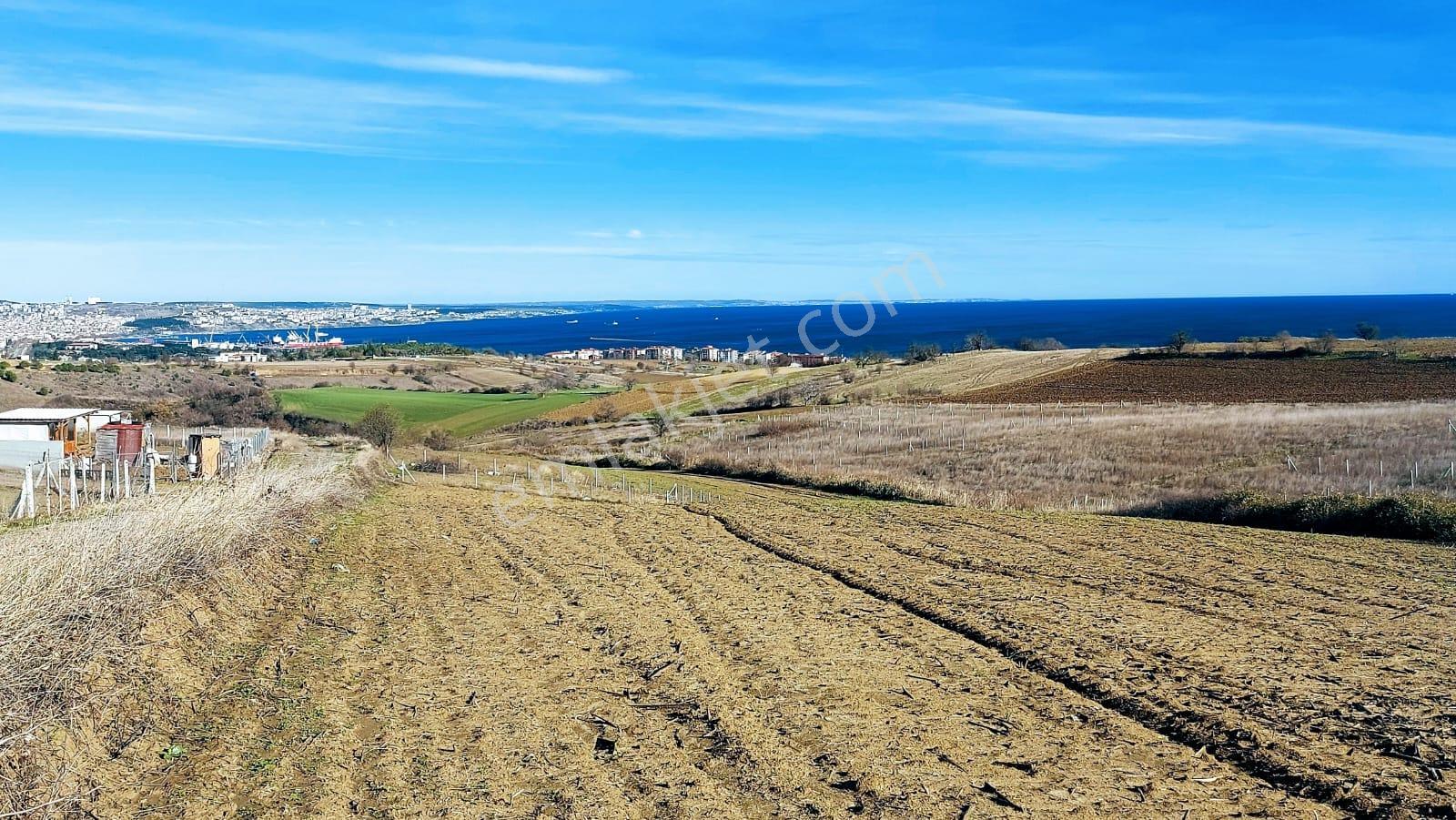 ** Full Deniz Doğa Ve Şehir Manzara** Emsallerine En Uygun Fırsat Kelepir Villa Imarlı Arsa - Görsel 15