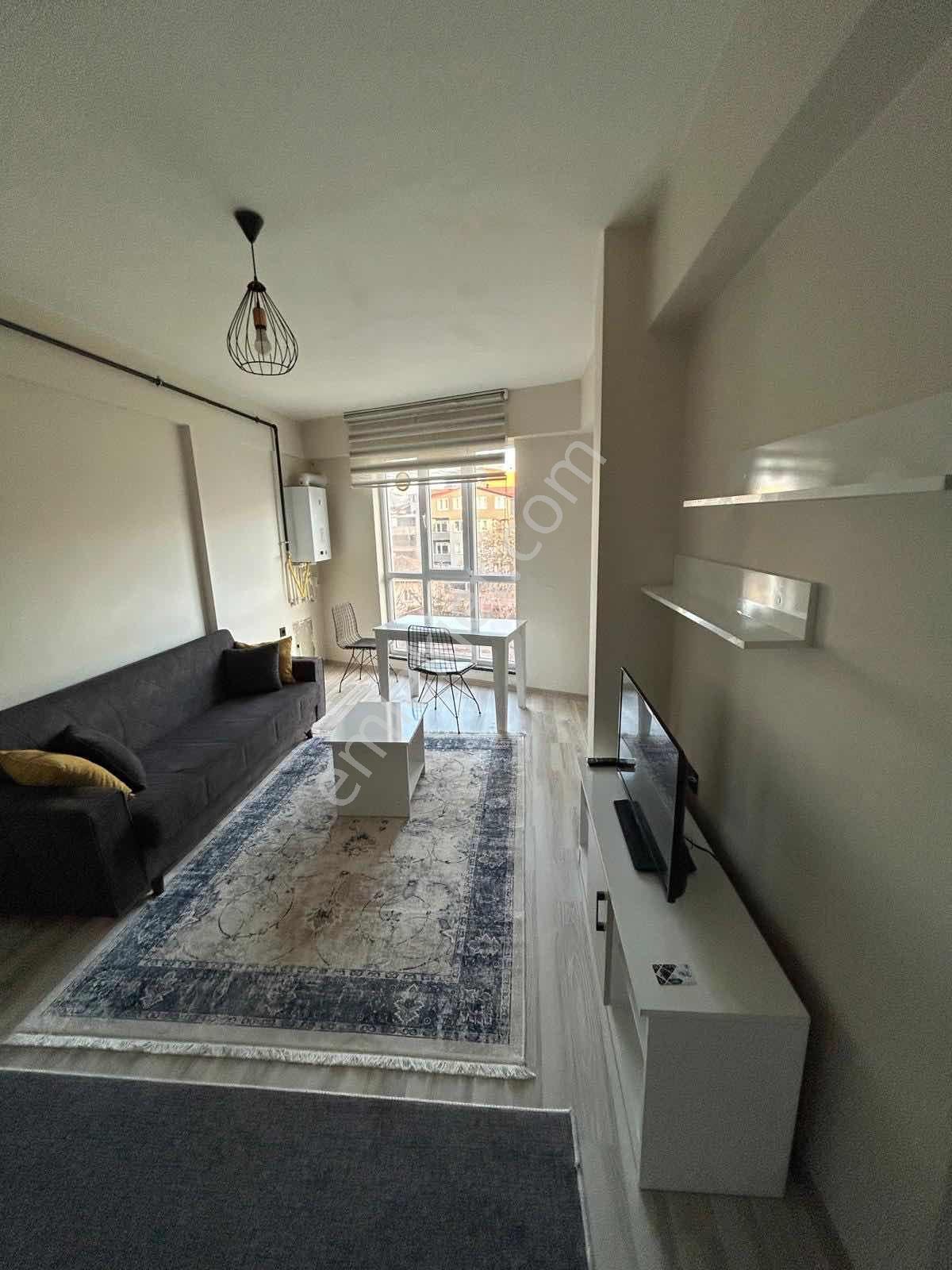 Merkezi Konum Ara Kat Kiralık 1+1 Eşyalı Daire - Görsel 18