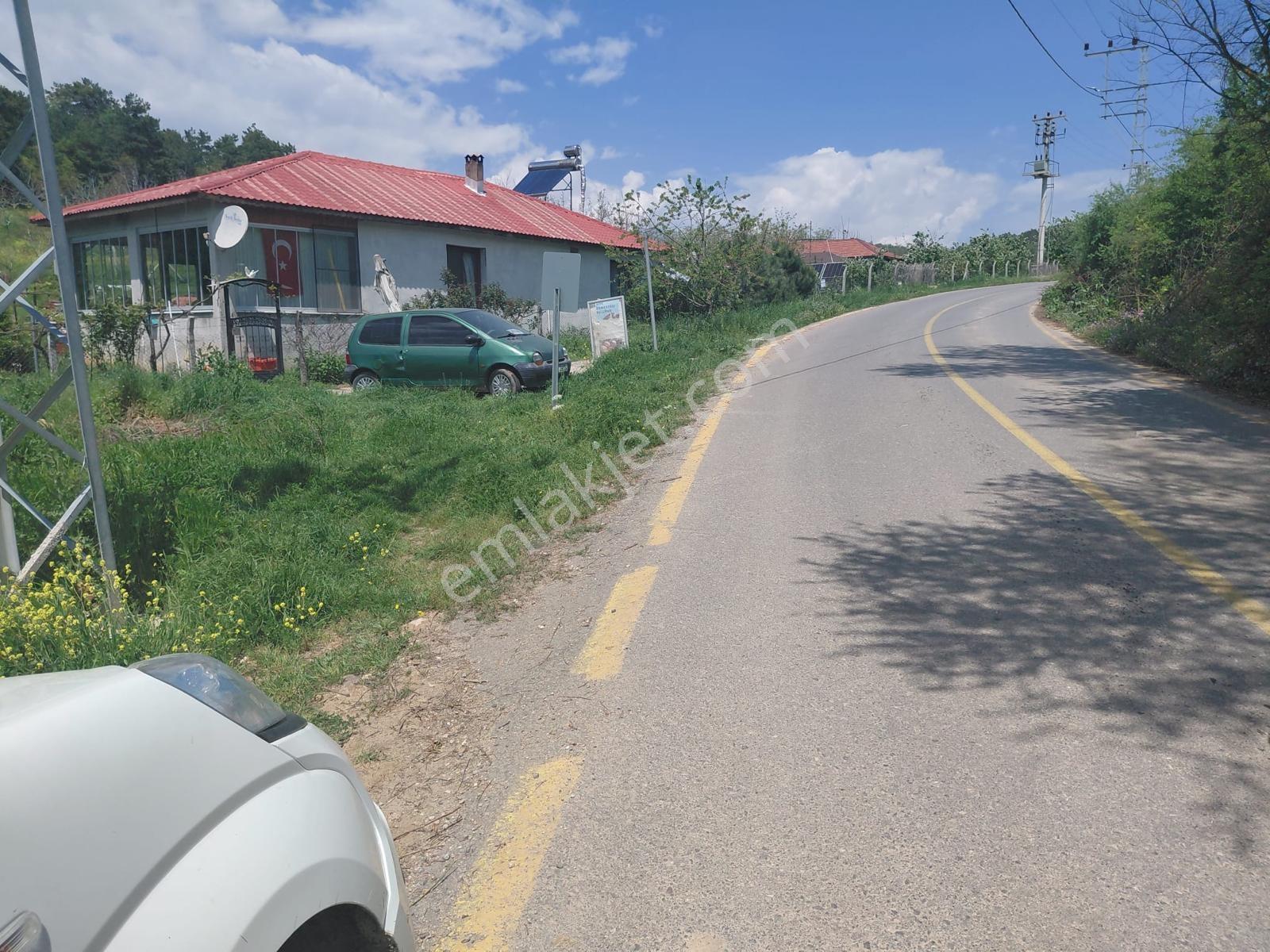 Geyve Cecelerde 3 Dönüm Yol Kenarı Satılık Meyve Bahçesi - Görsel 25