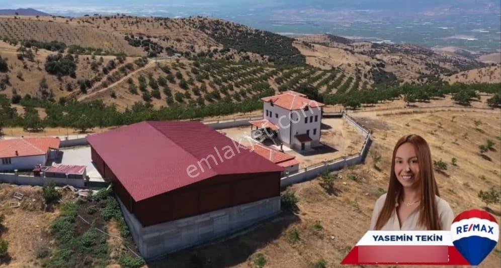 Manisa Kula 260 Dönüm Satılık Ceviz Çiftliği - Görsel 7