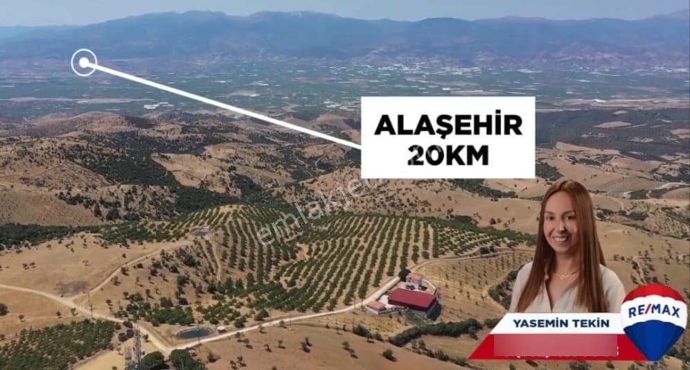 Manisa Kula 260 Dönüm Satılık Ceviz Çiftliği - Görsel 2