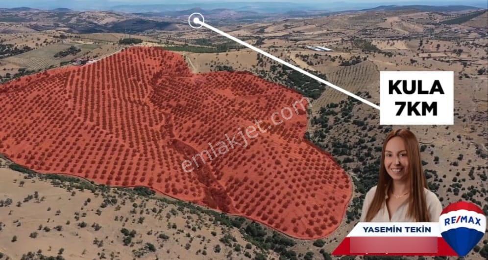 Manisa Kula 260 Dönüm Satılık Ceviz Çiftliği - Görsel 3