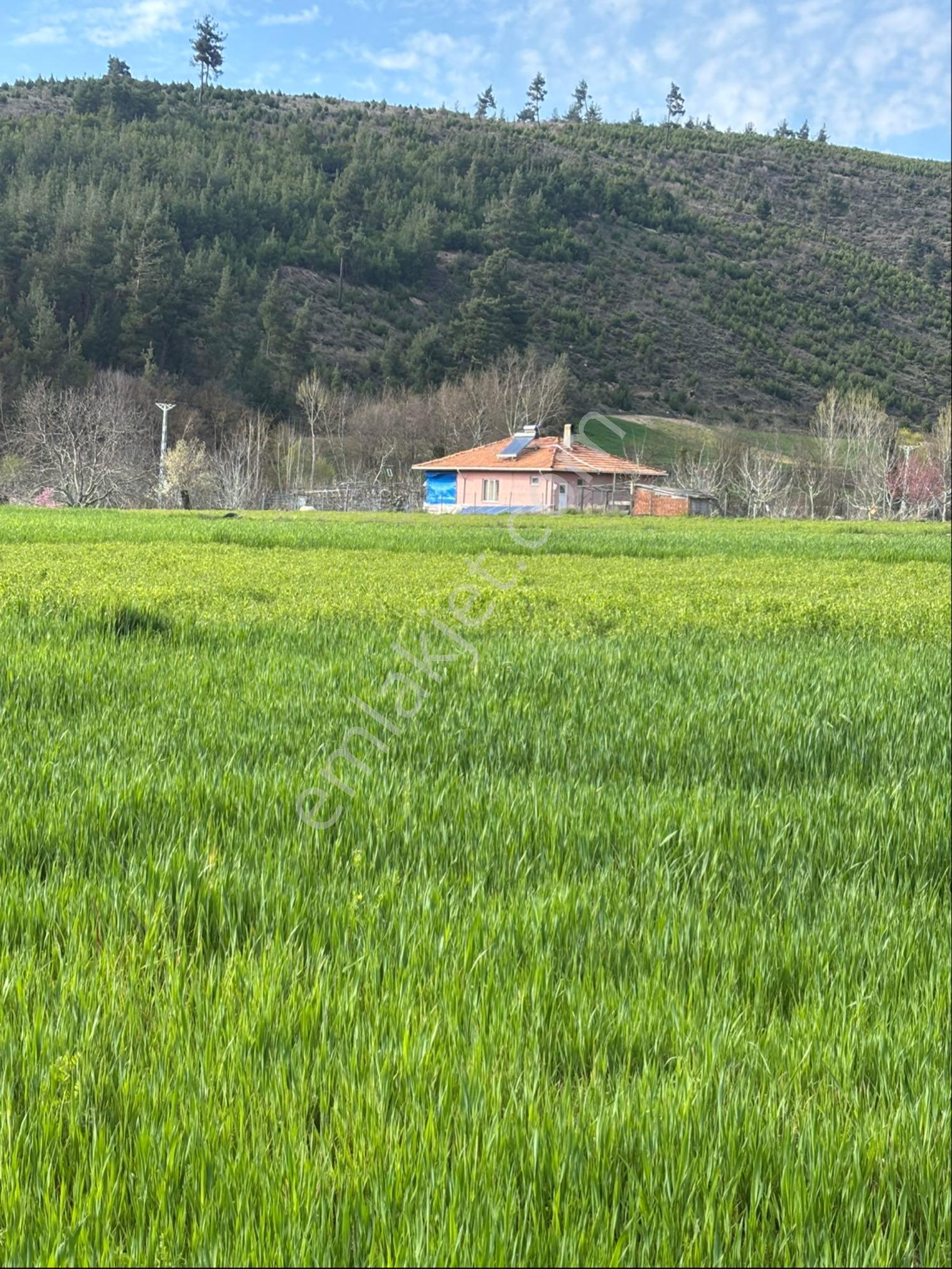 Balcity-balıkesir Sındırgı’da Resmi Yola Cepheli İmar Sınırında 2.394 M²tarla - Görsel 4
