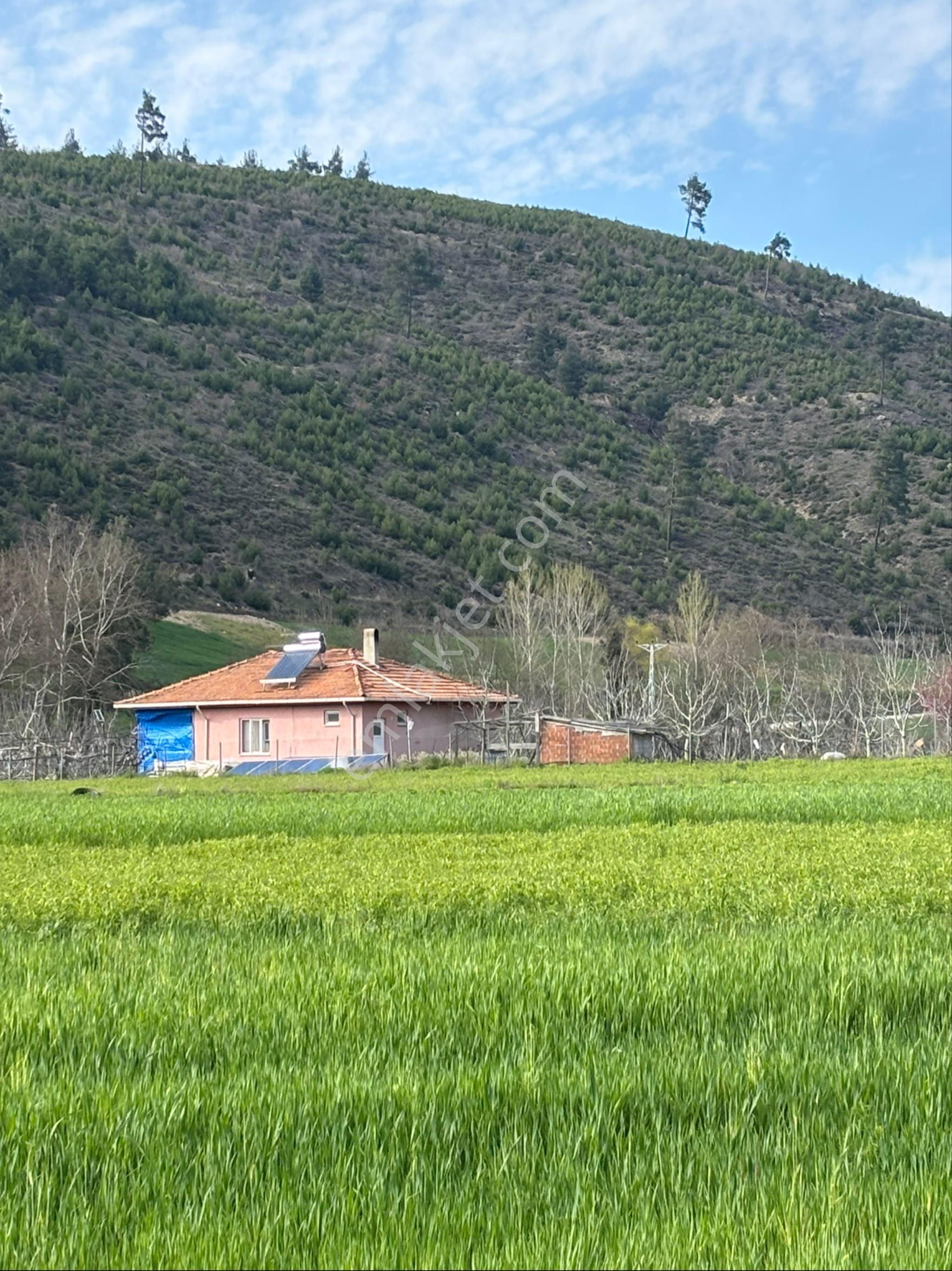 Balcity-balıkesir Sındırgı’da Resmi Yola Cepheli İmar Sınırında 2.394 M²tarla - Görsel 11