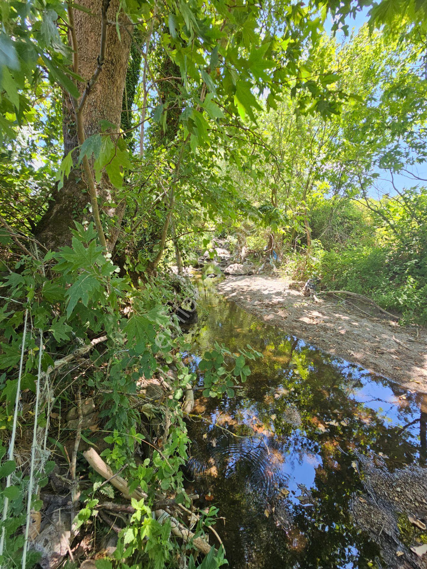 Gönen Hacıvelioba Mh. Dereye Cephe Satılık Tarla - Görsel 20