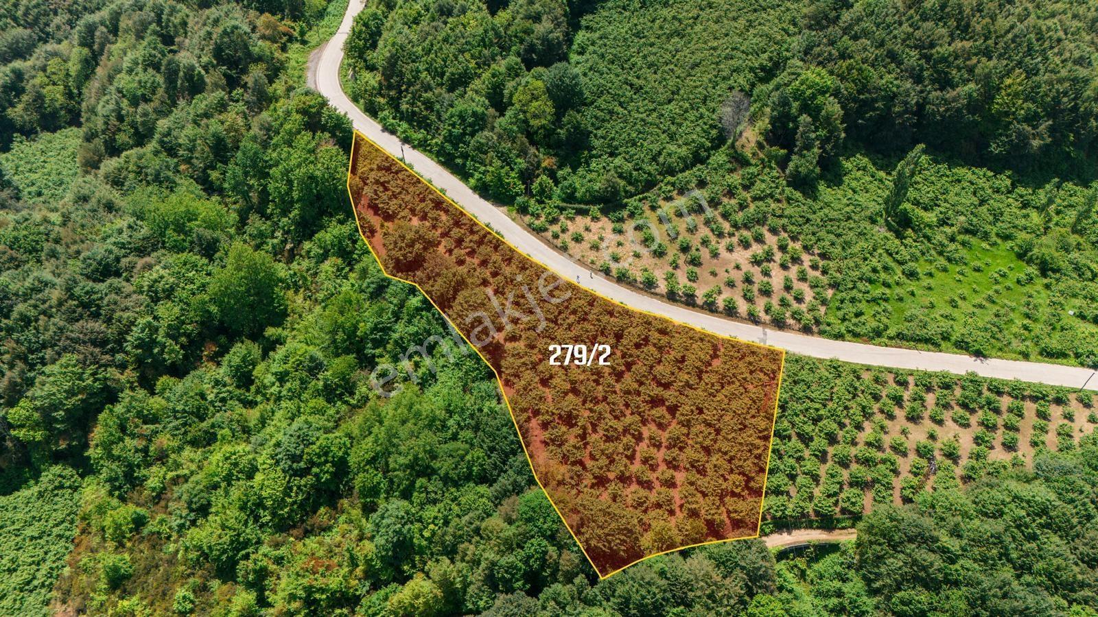 2899m2 Güzelcehisar Ana Yol Kenarı Deniz Manzaralı Satılık Tarla - Görsel 5