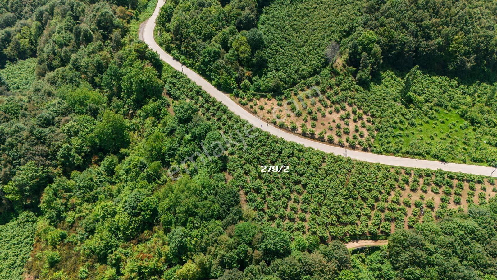 2899m2 Güzelcehisar Ana Yol Kenarı Deniz Manzaralı Satılık Tarla - Görsel 3