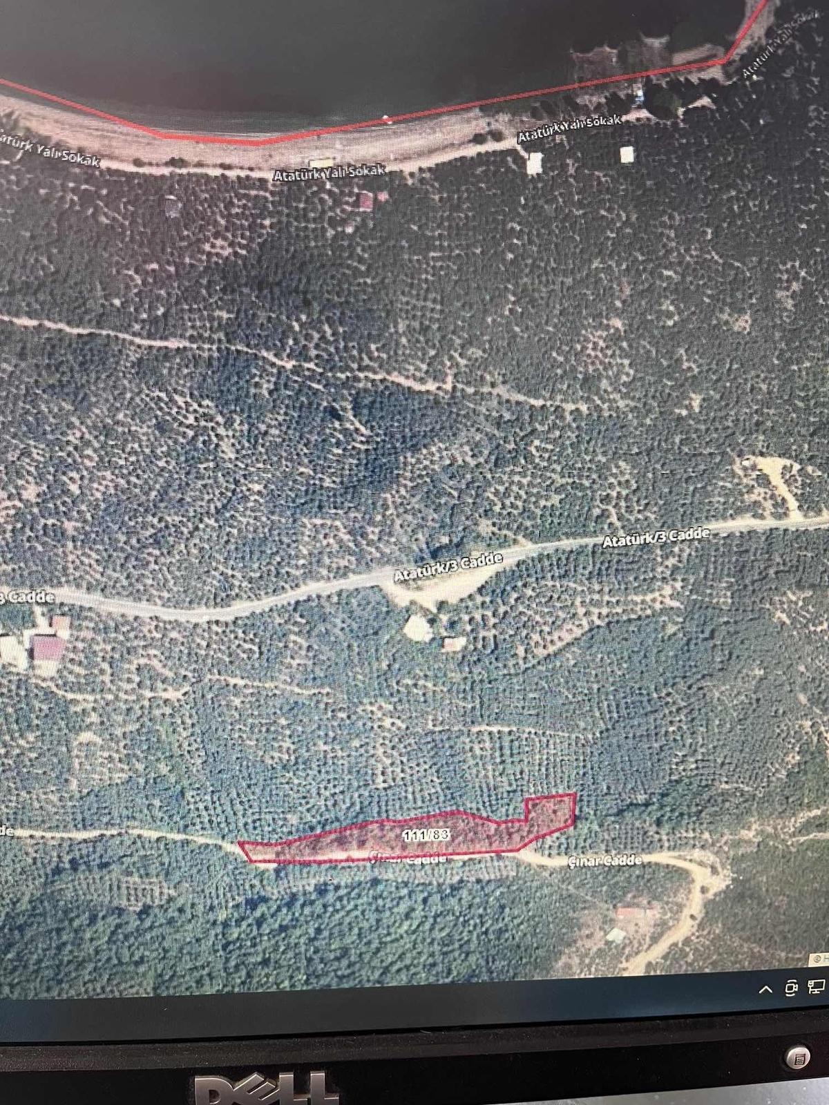 Bursa Orhangazi Narlıcada Köye Yakın 6299 M2 Göl Manzaralı - Görsel 2