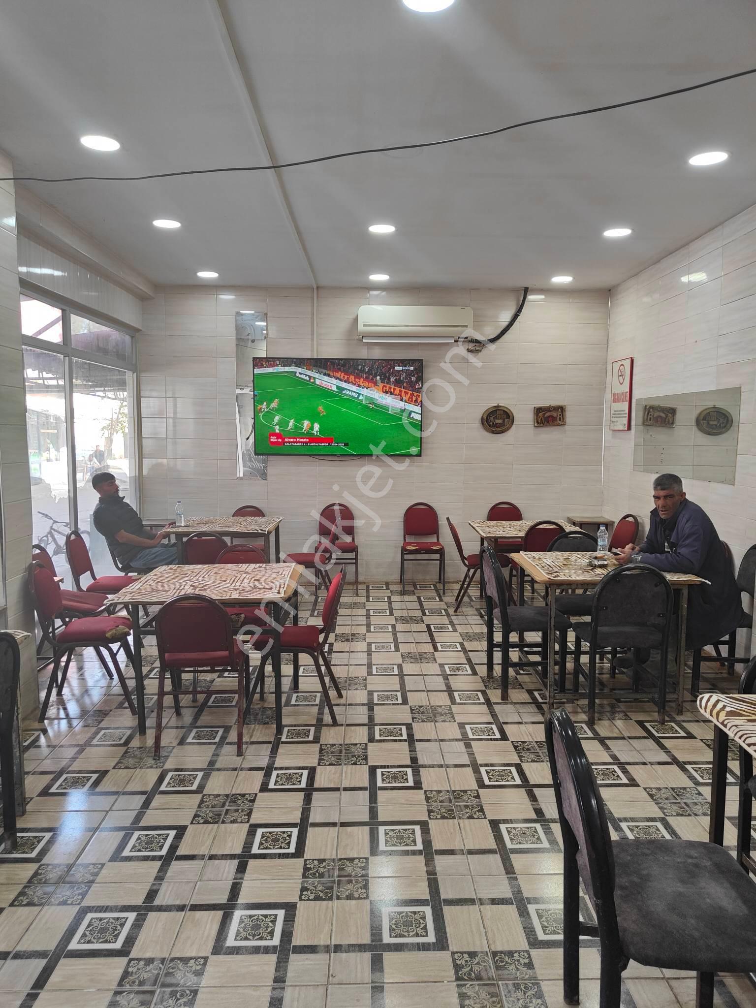 Bayındır Gayrımenkul Cırpı Mah Satılık Kahve - Görsel 5