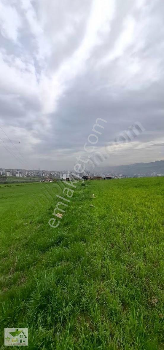 Samsun İlkadım Ataköy De 6 Kata İmar Köş Başı Arsa Emsal:1 30 - Görsel 3